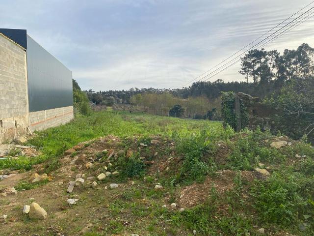 Terreno venda em Anadia, Aveiro