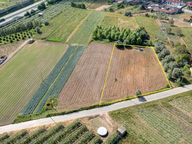 Terreno venda em Anadia, Aveiro