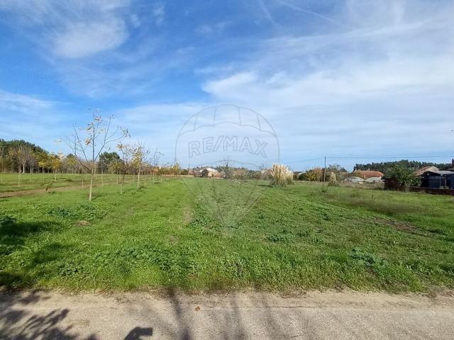 Terreno venda em Pedreira de Vilarinho, Anadia
