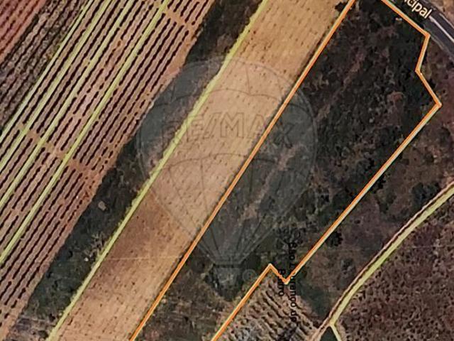 Terreno venda em Anadia, Aveiro