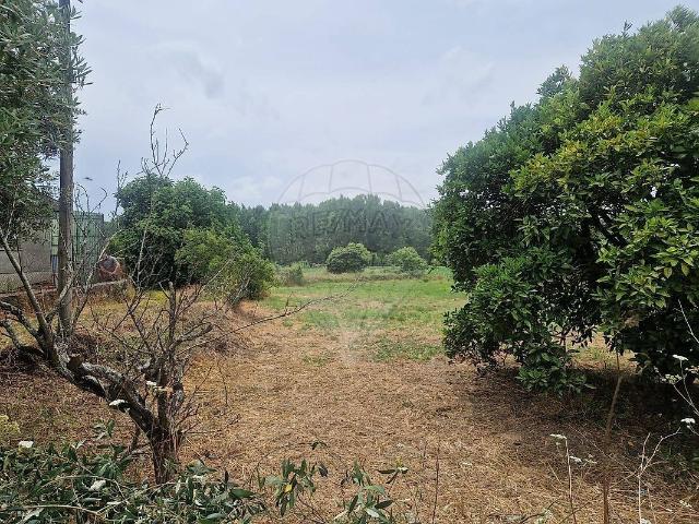 Terreno venda em Anadia, Aveiro