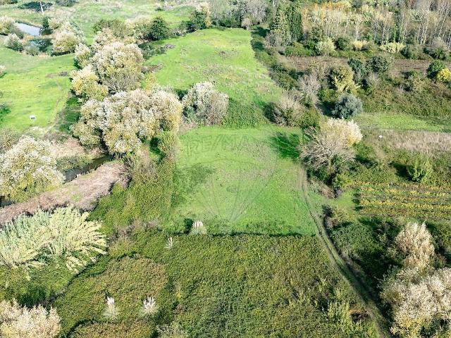 Terreno venda em Anadia, Aveiro