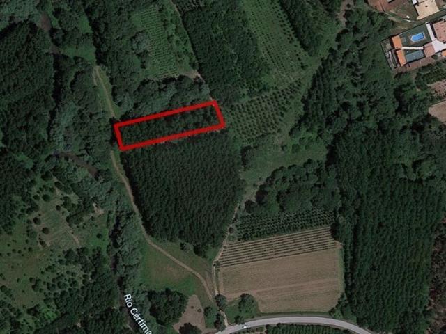 Terreno venda em São João da Azenha, Anadia