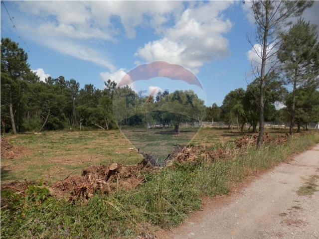 Terreno venda em Malaposta, Anadia