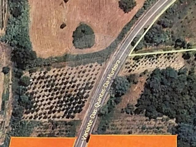 Terreno venda em Anadia, Aveiro
