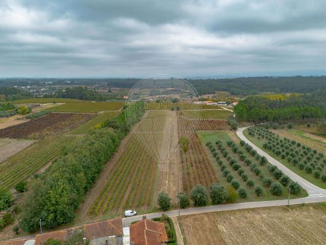 Terreno venda em Anadia, Aveiro