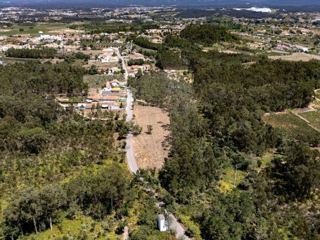 Terreno venda em Anadia, Aveiro