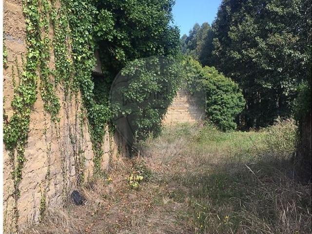 Terreno venda em Anadia, Aveiro