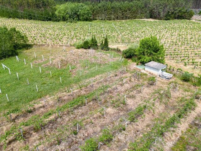Terreno venda em Anadia, Aveiro