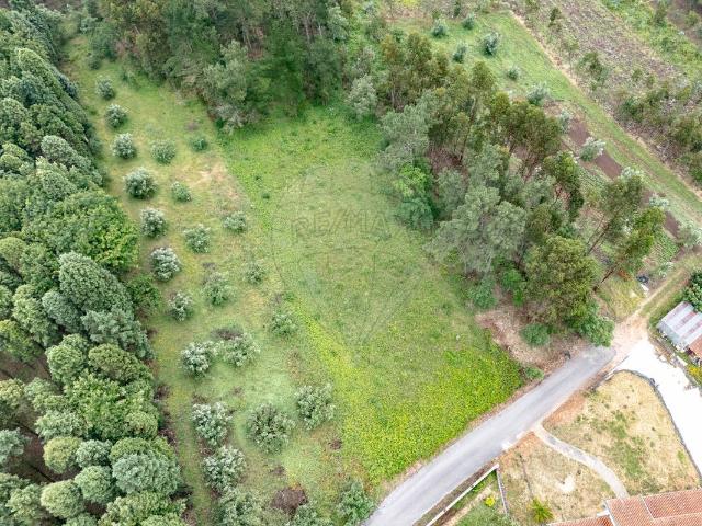 Terreno venda em Anadia, Aveiro