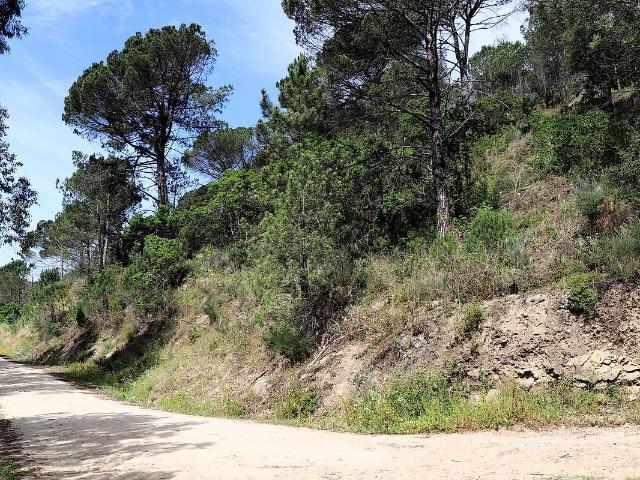 Terreno venda em Ancede e Ribadouro, Baião