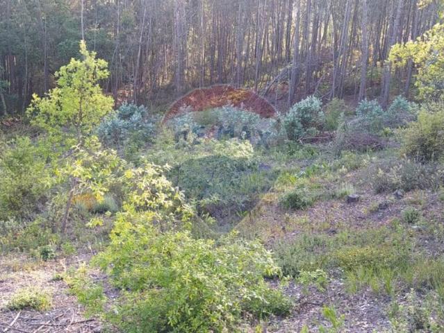 Terreno venda em Ansião, Leiria