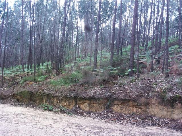 Terreno venda em Louriceiras de Cima, Ansião