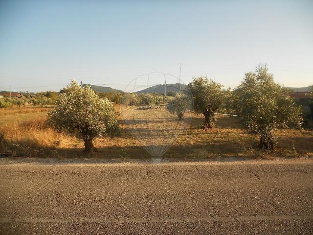 Terreno venda em Ansião, Leiria