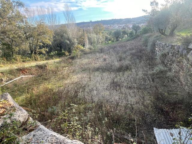 Terreno venda em Ansião