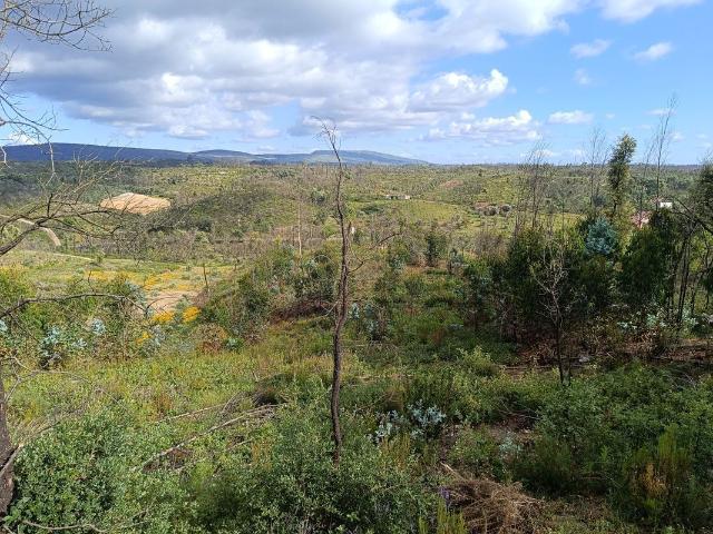 Terreno venda em Ansião, Leiria