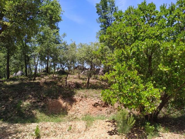 Terreno venda em Graminhal, Ansião