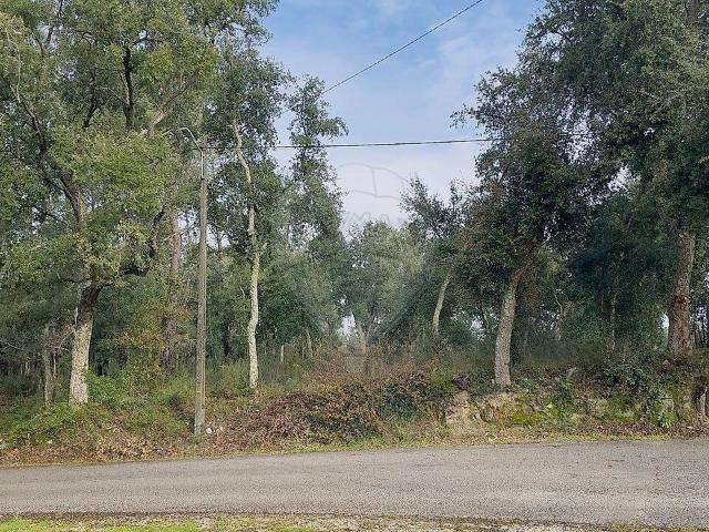 Terreno venda em Ansião