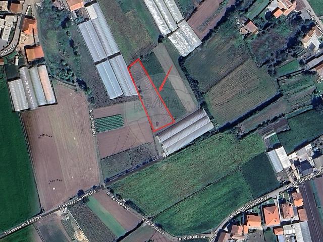 Terreno venda em Apúlia, Esposende