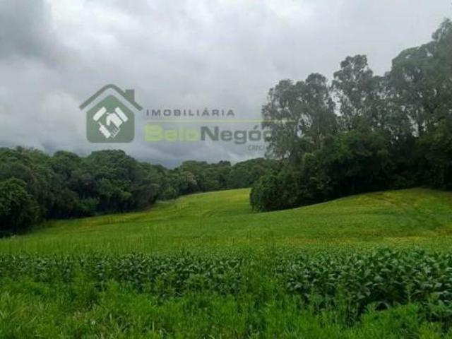 Terreno venda em Região Geográfica Imediata de Curitiba, Região Metropolitana de Curitiba