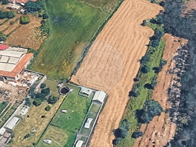 Terreno venda em Arazede, Montemor-o-Velho