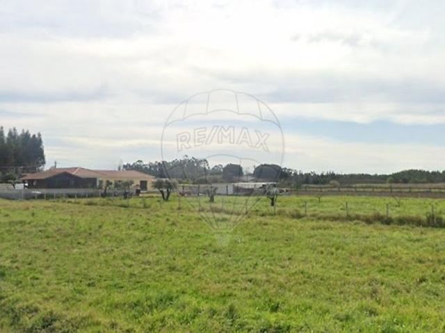 Terreno venda em Arazede, Montemor-o-Velho
