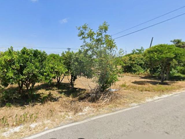 Terreno venda em Arazede, Montemor-o-Velho