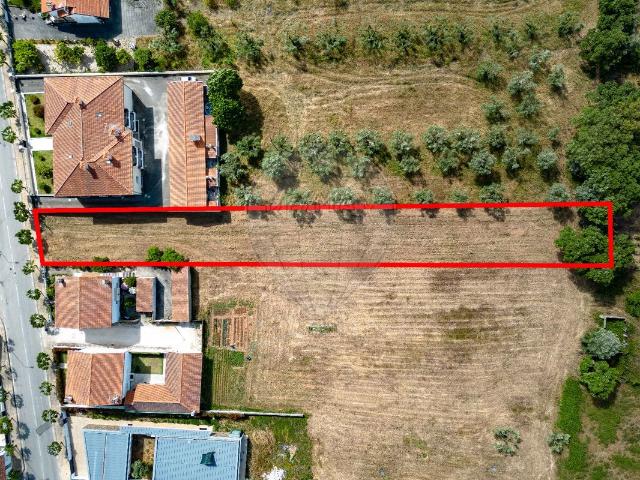 Terreno venda em Anadia, Aveiro