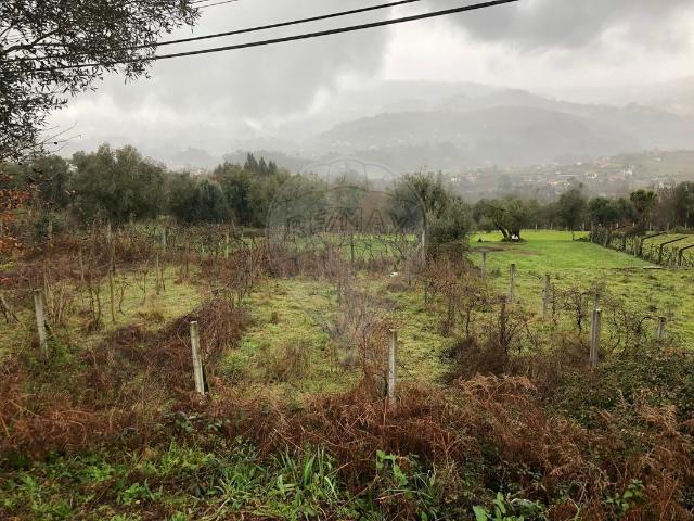 Terreno venda em Arcos De Valdevez, Viana Do Castelo