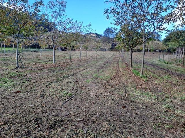 Terreno venda em Arcos De Valdevez, Viana Do Castelo