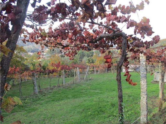 Terreno venda em Vale, Arcos De Valdevez
