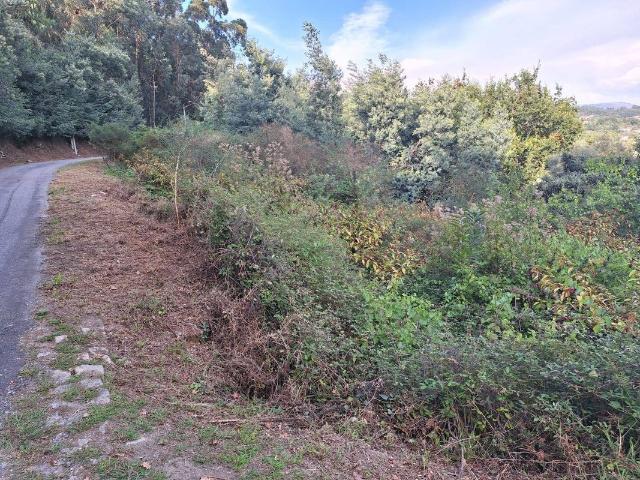 Terreno venda em Arcos De Valdevez, Viana Do Castelo