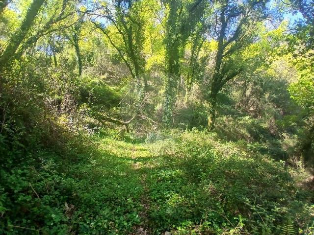 Terreno venda em Rio Frio, Arcos De Valdevez