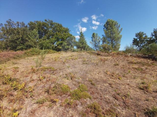 Terreno venda em Vilarinho das Quartas, Arcos De Valdevez
