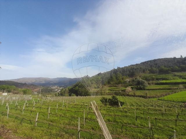 Terreno venda em Arcos De Valdevez, Viana Do Castelo