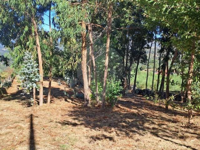 Terreno venda em Arcos De Valdevez, Viana Do Castelo