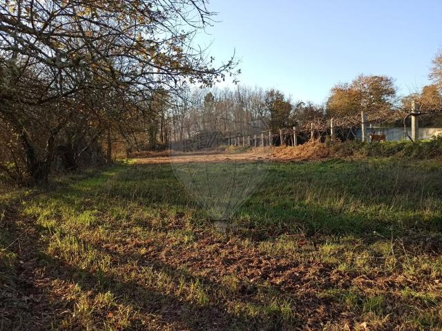 Terreno venda em Arcos De Valdevez, Viana Do Castelo