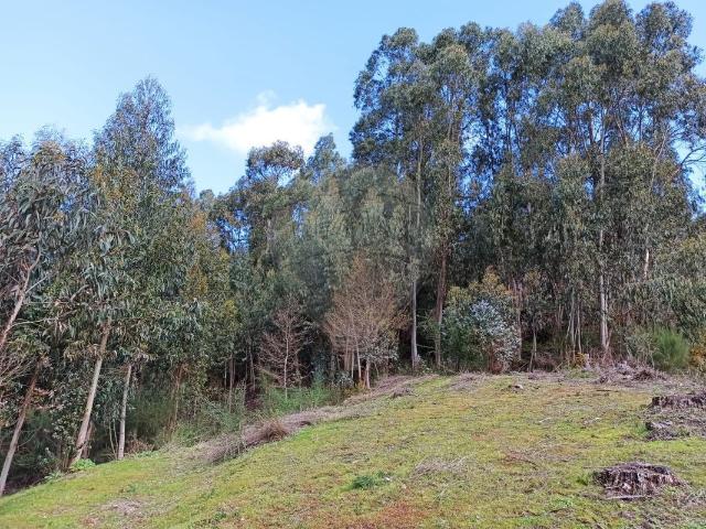 Terreno venda em Arcos De Valdevez, Viana Do Castelo