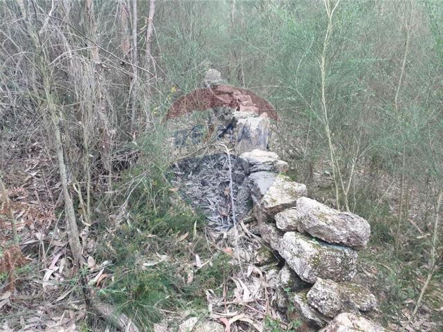 Terreno venda em Arcos De Valdevez, Viana Do Castelo