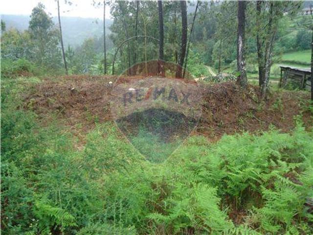 Terreno venda em Arcos De Valdevez, Viana Do Castelo