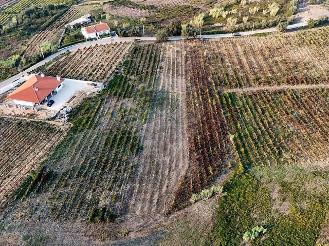 Terreno venda em Arcos e Mogofores, Anadia