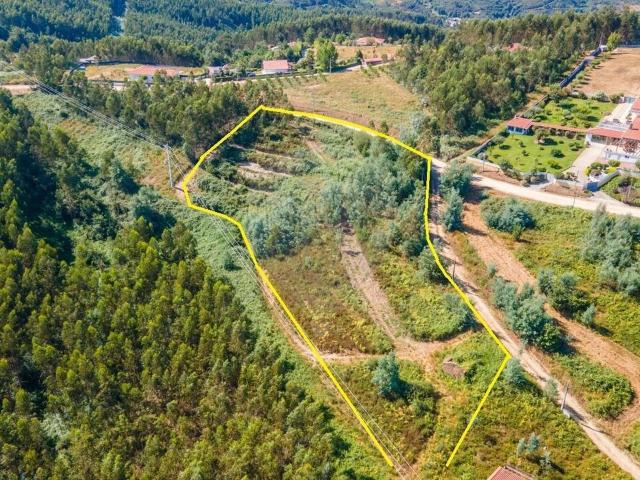 Terreno venda em Arganil, Anceriz