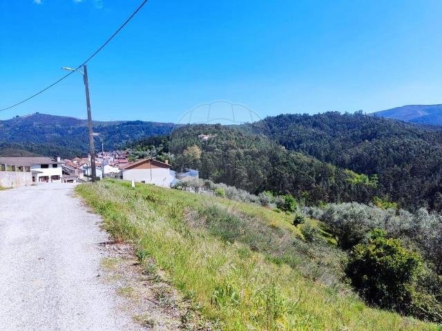 Terreno venda em Arganil