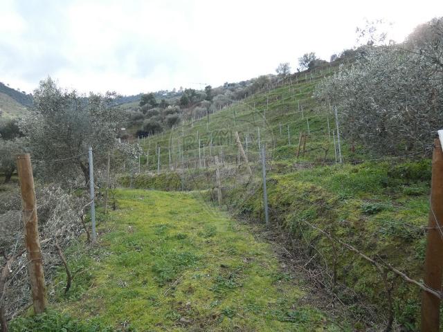 Terreno venda em Aldeias, Viseu