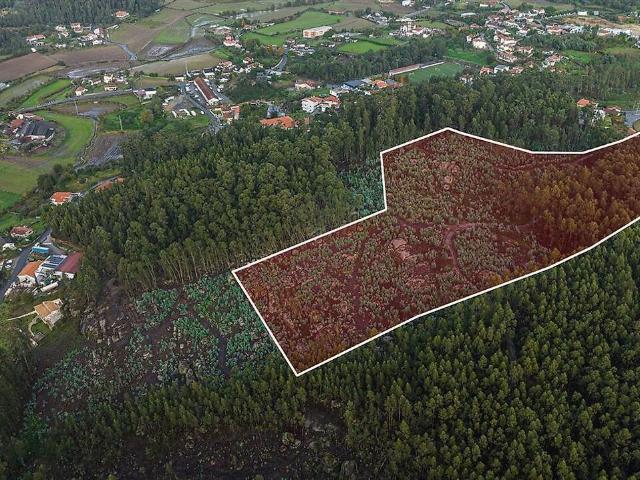 Terreno venda em Igreja, Vila Nova de Famalicão