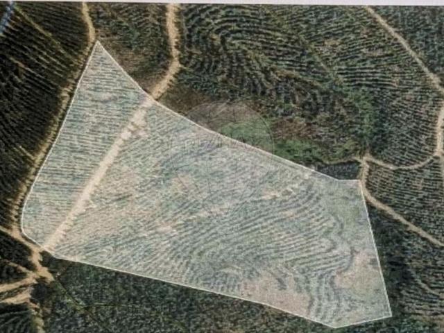Terreno venda em Arouca, São Miguel Do Mato