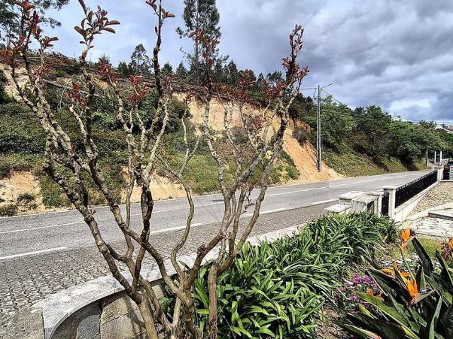 Terreno venda em Arrabal, Leiria