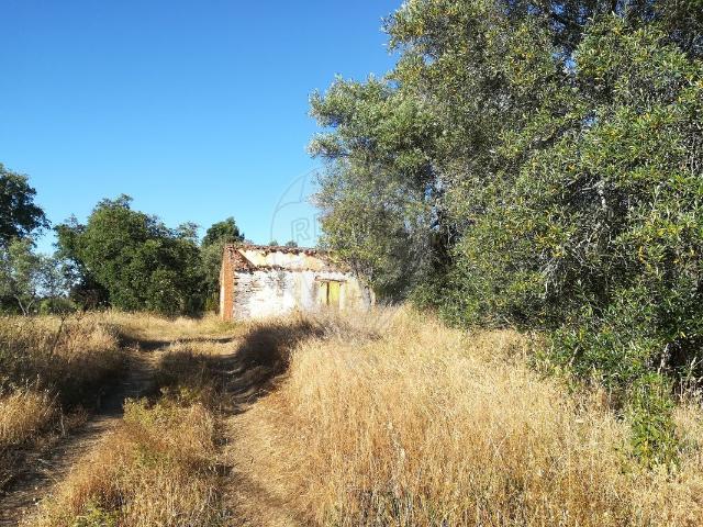 Terreno venda em Cova dos Defuntos, Arronches