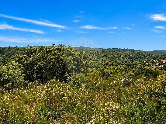 Terreno venda em Assentiz, Torres Novas