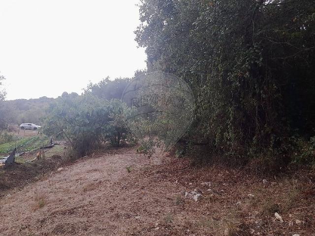 Terreno venda em Assentiz, Torres Novas